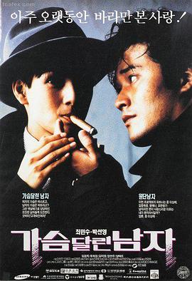 在线观看免费观看极速追击
